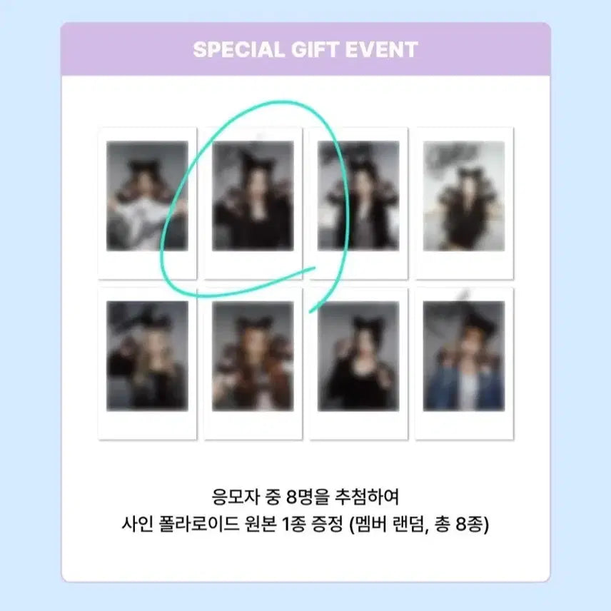 하츠투하츠 하투하 카르멘 싸인폴라 싸폴 양도