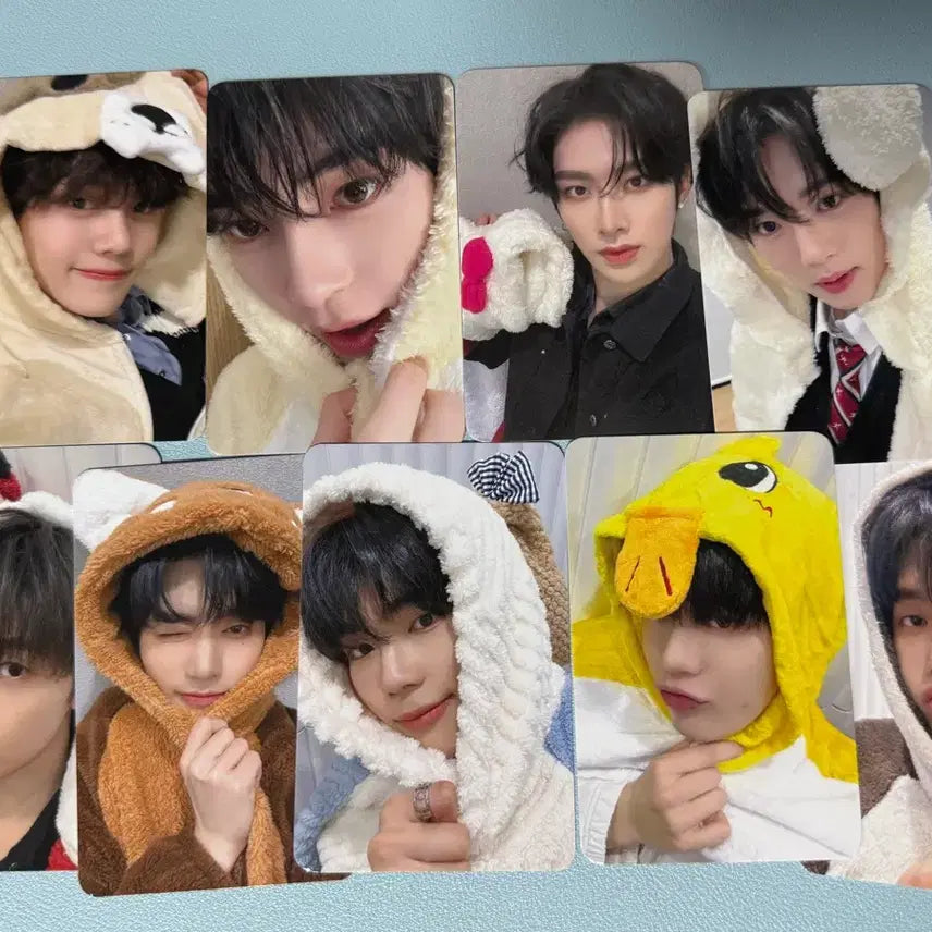 제로베이스원 제베원 동물잠옷 포카