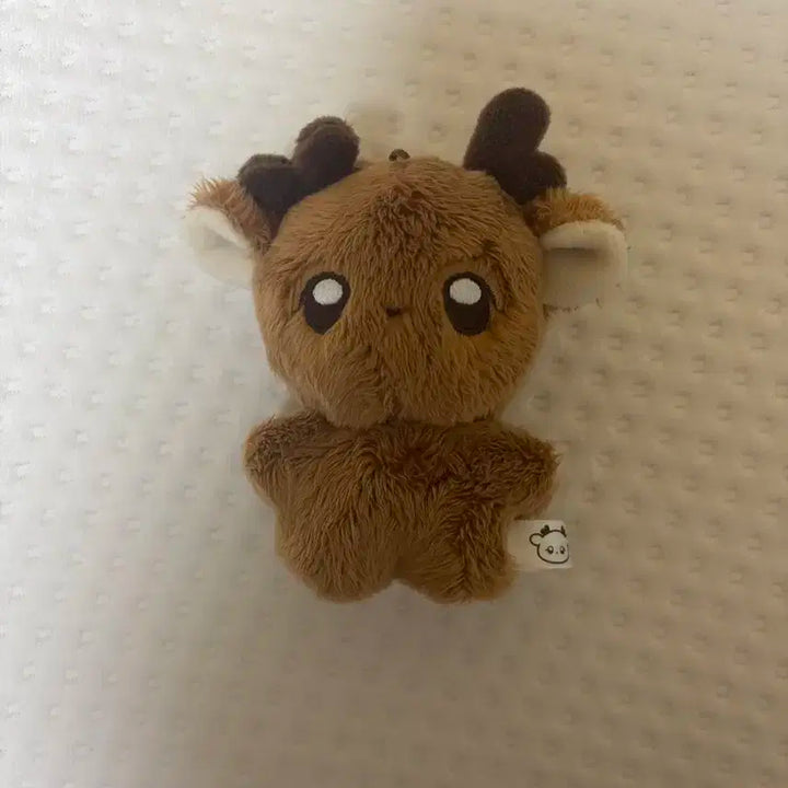 성찬 밤비인형 양도