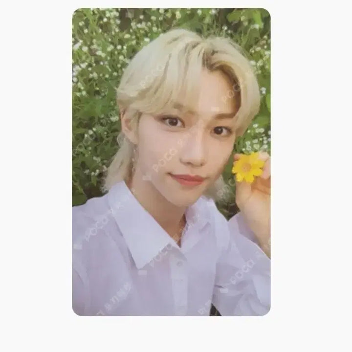 스키즈 포카 일괄 판매(필릭스,한,창빈)