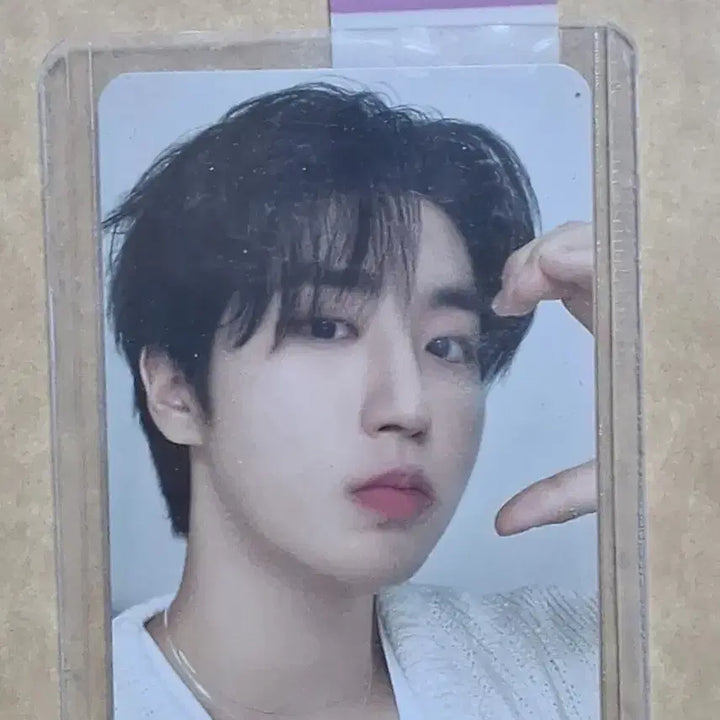 스키즈 포카 일괄 판매(필릭스,한,창빈)