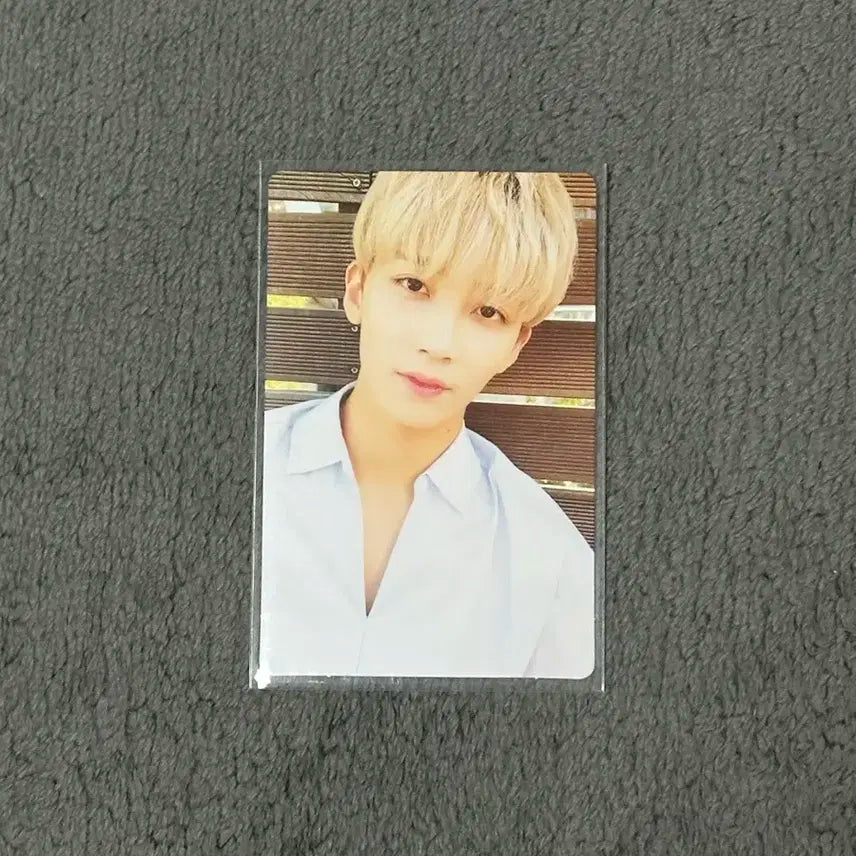 세븐틴 정한 박수 틴에이즈 포카