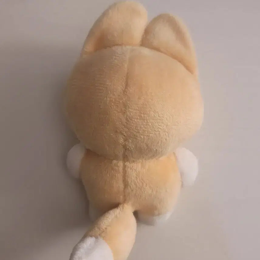 플레이브 노아 말랑플브 말랑노아 솜인형 양도