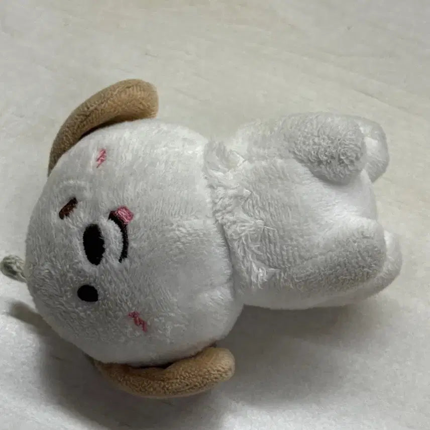 라이즈인형 10센치