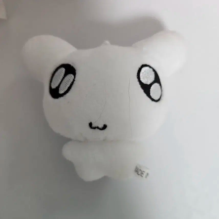 보넥도 명재현 띵멍이 양도