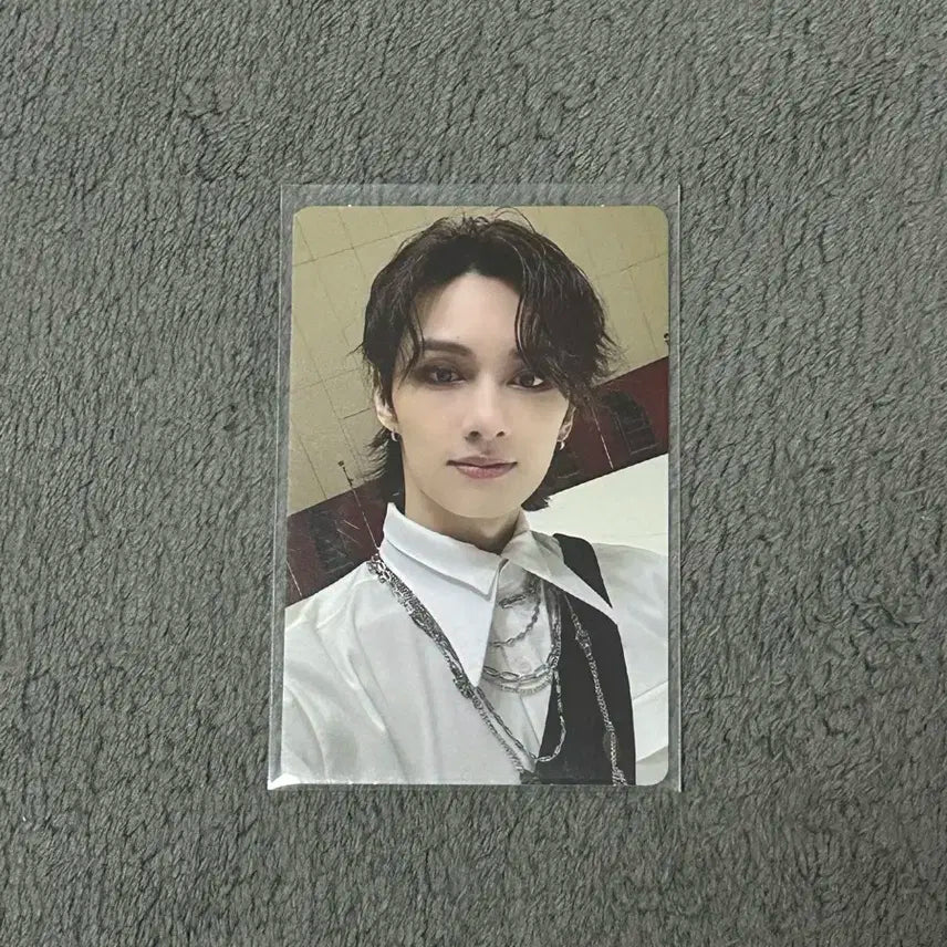 세븐틴 준 17 right here 마에스트로 키트 포카