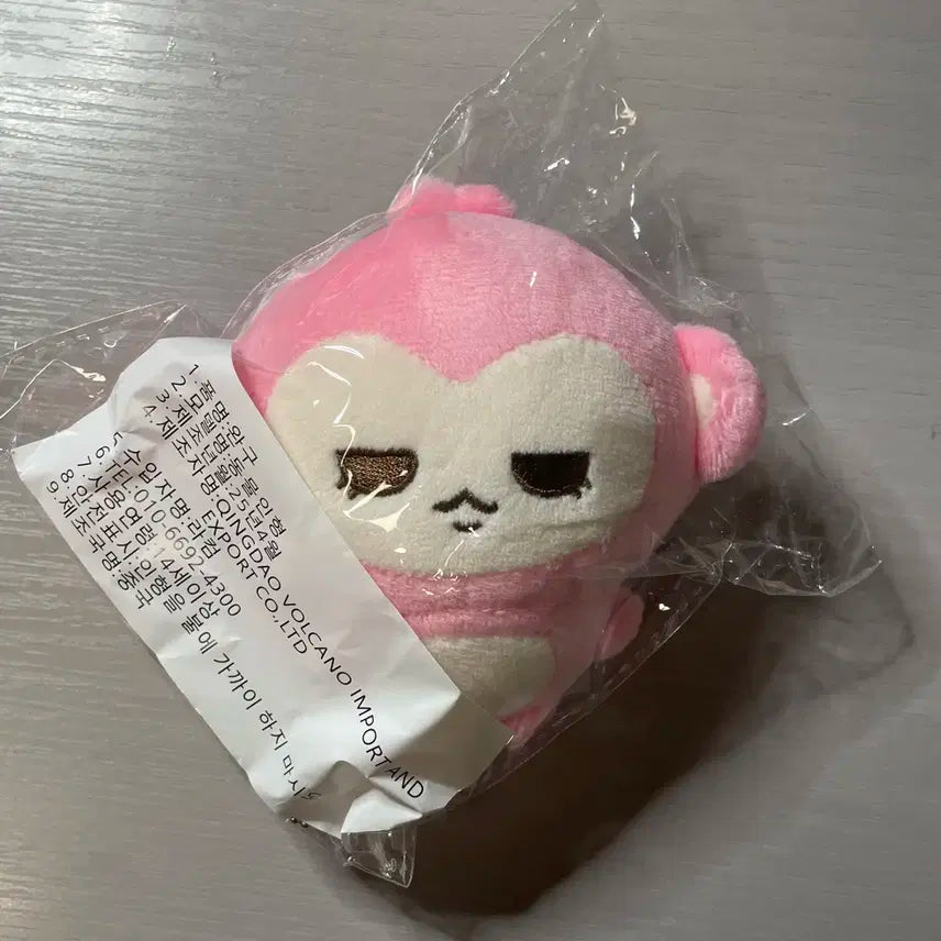 보이넥스트도어 보넥도 태산 인형 탯끼끼