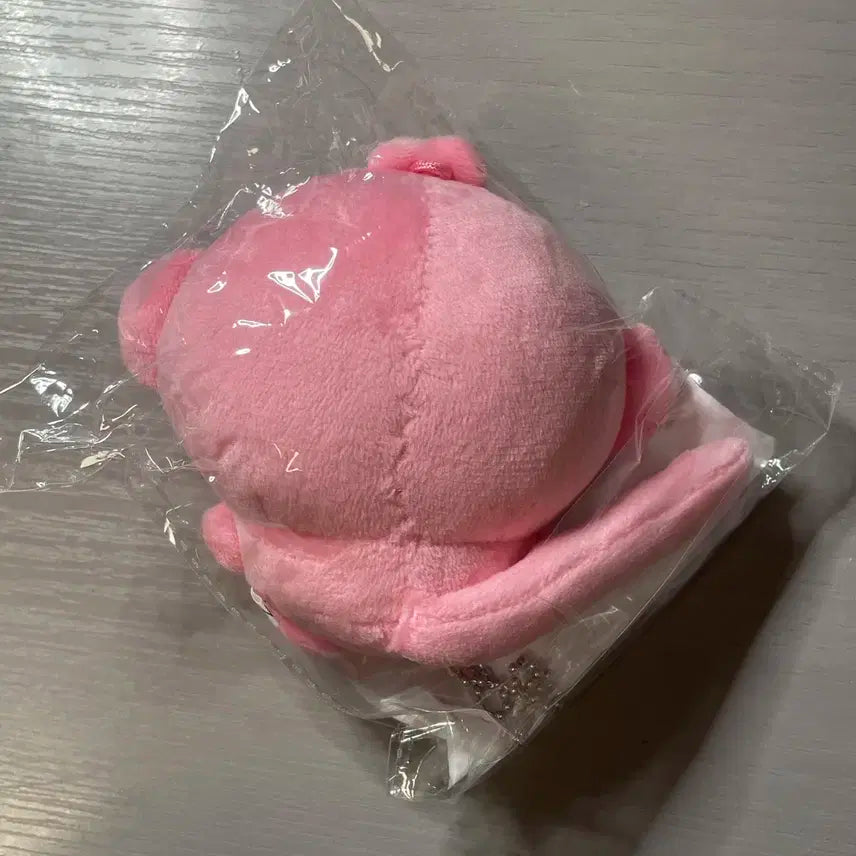 보이넥스트도어 보넥도 태산 인형 탯끼끼