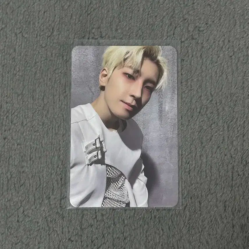 세븐틴 원우 핫 페더썬 포카