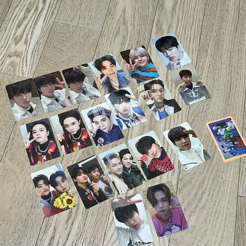 트레저 포카 판매