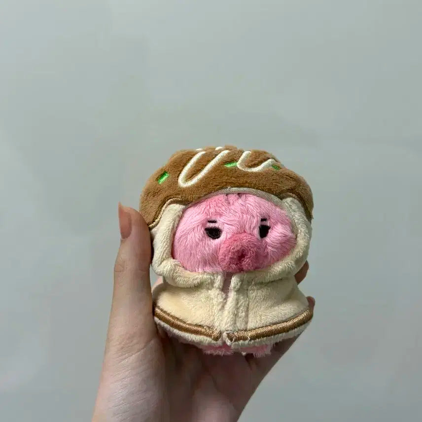 더보이즈 선우 떤코 양도