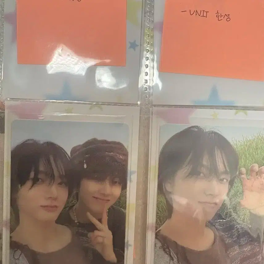 성호포카 판매