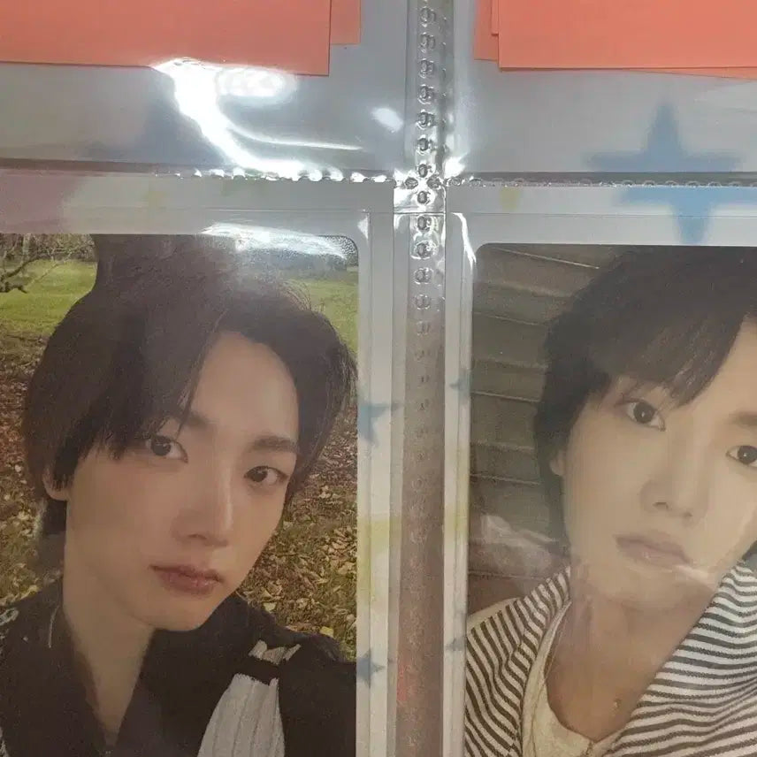 성호포카 판매