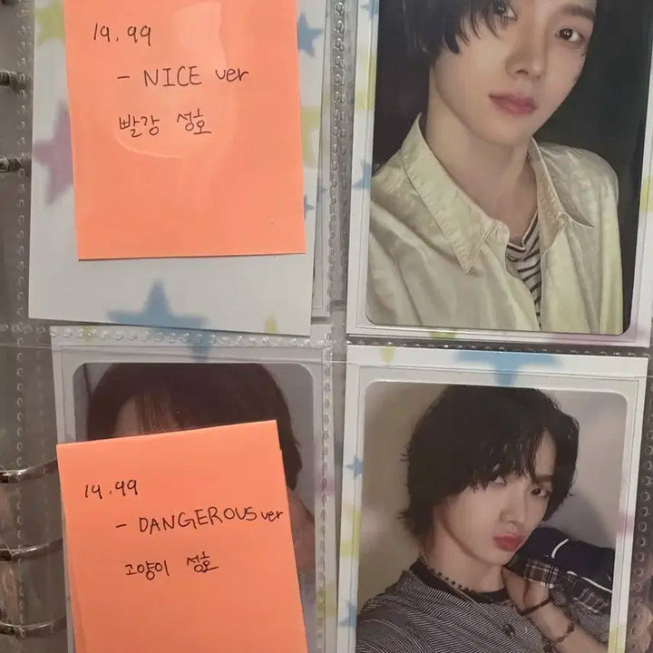 성호포카 판매