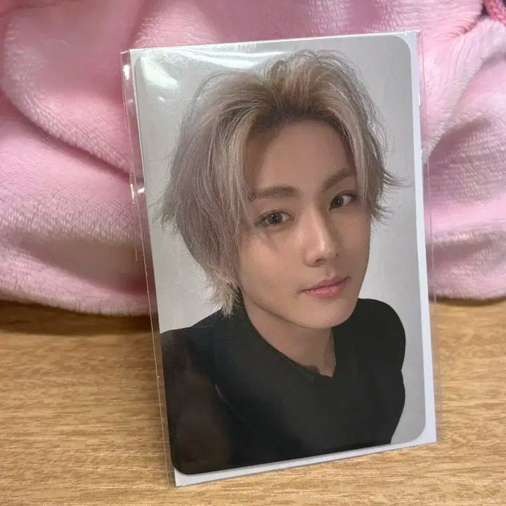 엔하이픈 브이알 vr 콘서트 정원 포카