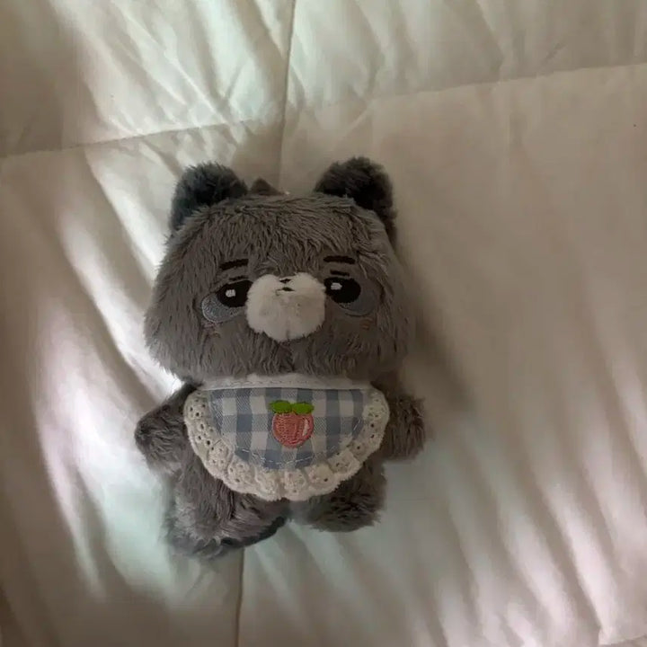 더보이즈 선우인형 뽀보이즈