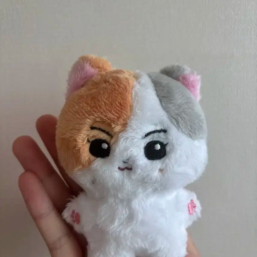 엔하이픈 엔니멀즈 정원