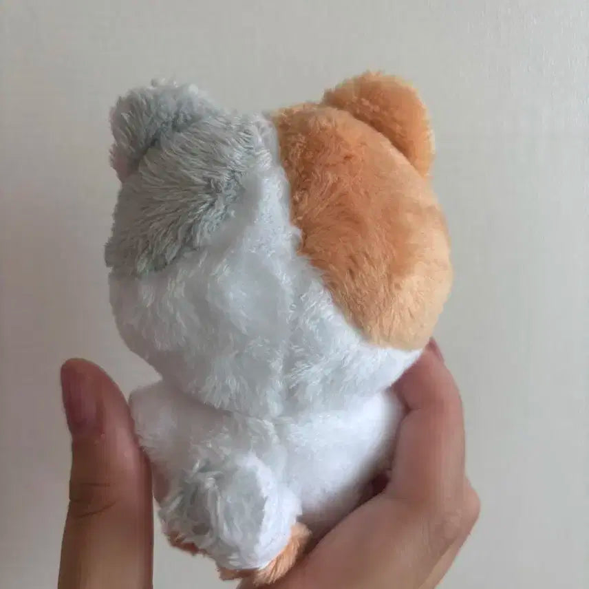 엔하이픈 엔니멀즈 정원