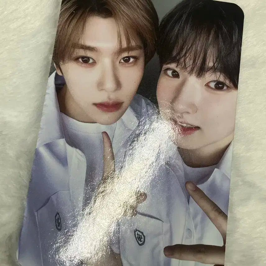 엔시티 위시 사쿠야 시온 유닛포카 양도 스쿨오브위시