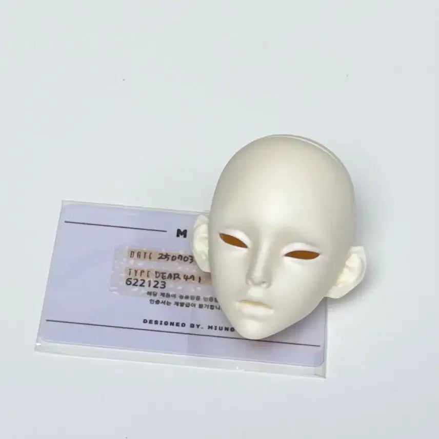 구관 마이디어보이 미니향 msd헤드 구체관절인형