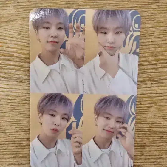 세븐틴 호시 포카