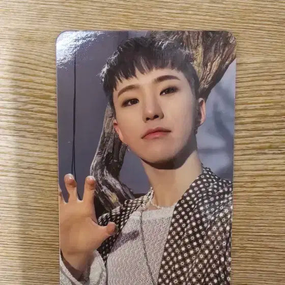 세븐틴 호시 포카