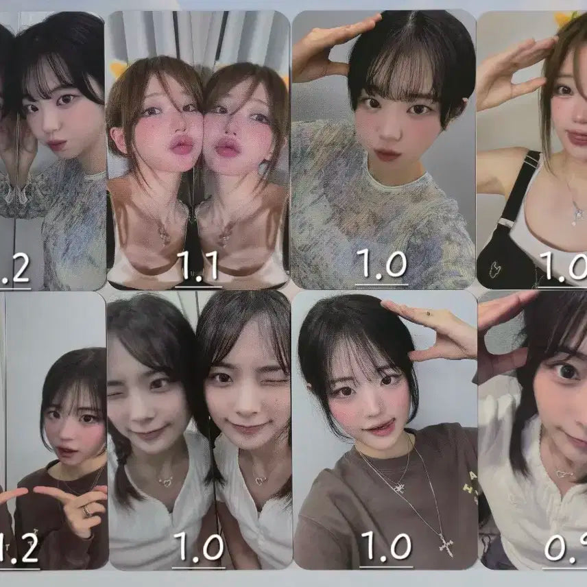 qwer 케이팝스토어 강아지 거울셀피 포카 판매해용! 쵸단마젠타히나시연