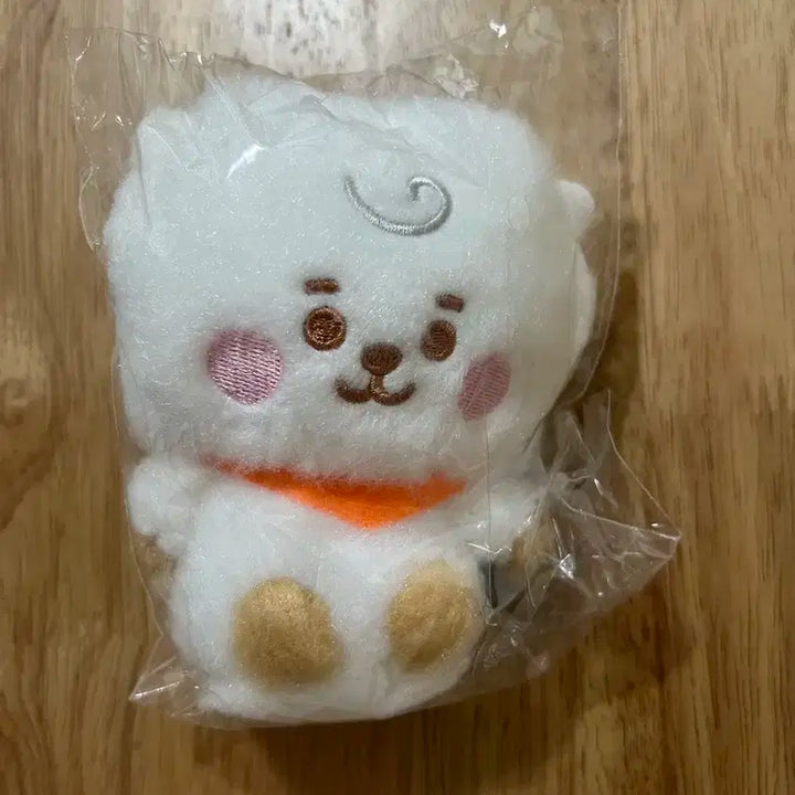BT21 일본 후와후와 알제이 RJ