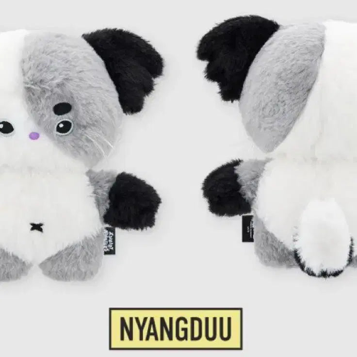 엑디즈 엑몬즈 정수 냥듀 완전 새제품