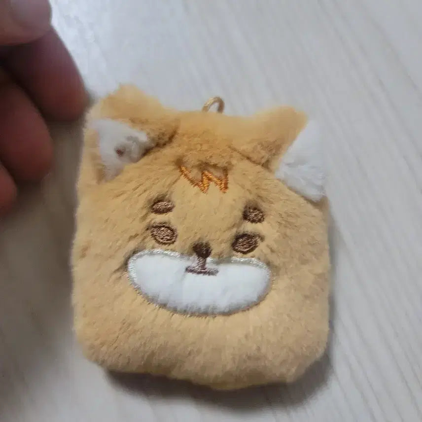 데이식스 영케이 포토홀더