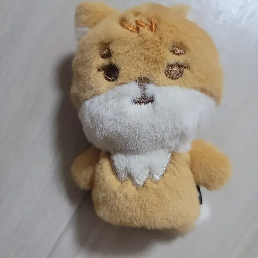 데이식스 플러시 핑거 케