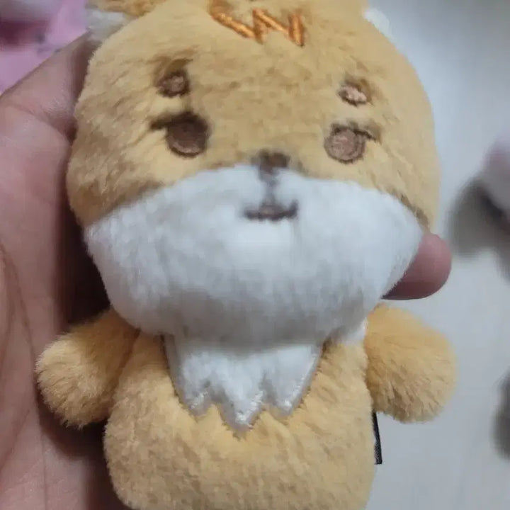 데이식스 플러시 핑거 케