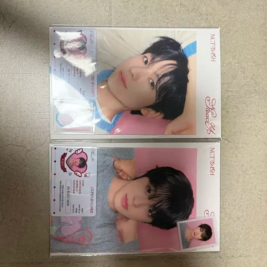 스테디 md 리쿠 유우시 미개봉 일괄