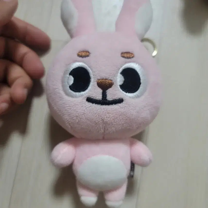 데이식스 20필끼