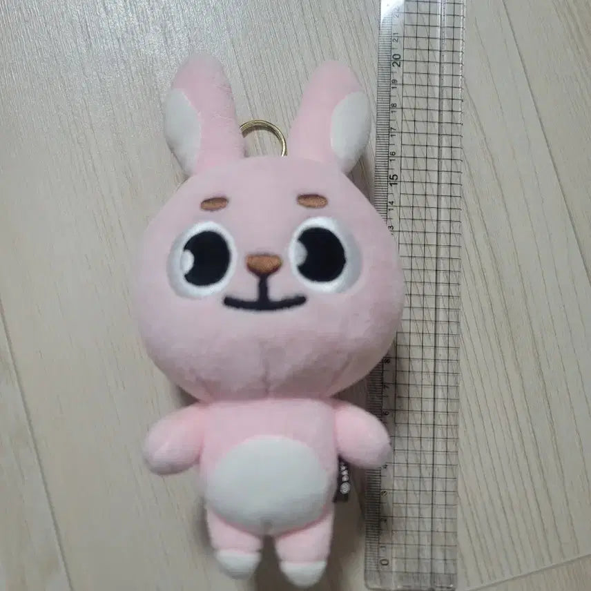 데이식스 20필끼