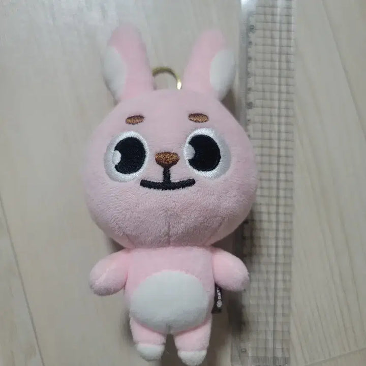 데이식스 20필끼