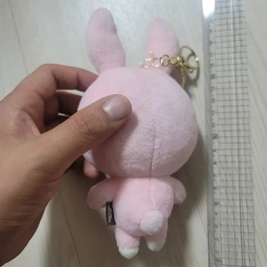 데이식스 20필끼