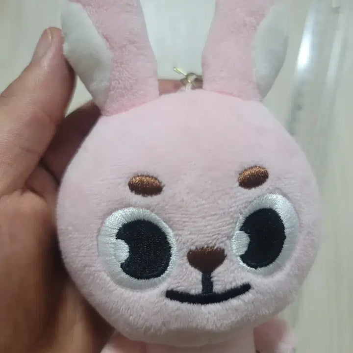 데이식스 20필끼