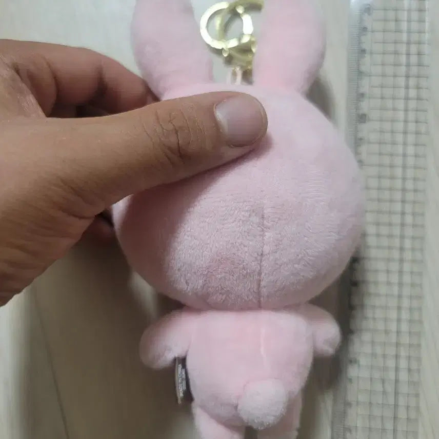 데이식스 20필끼
