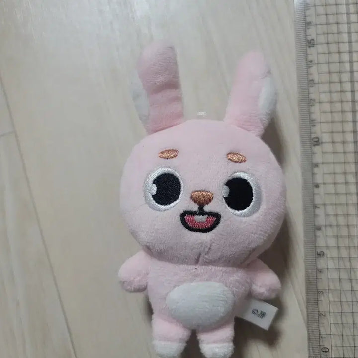 데이식스 백찬 필끼