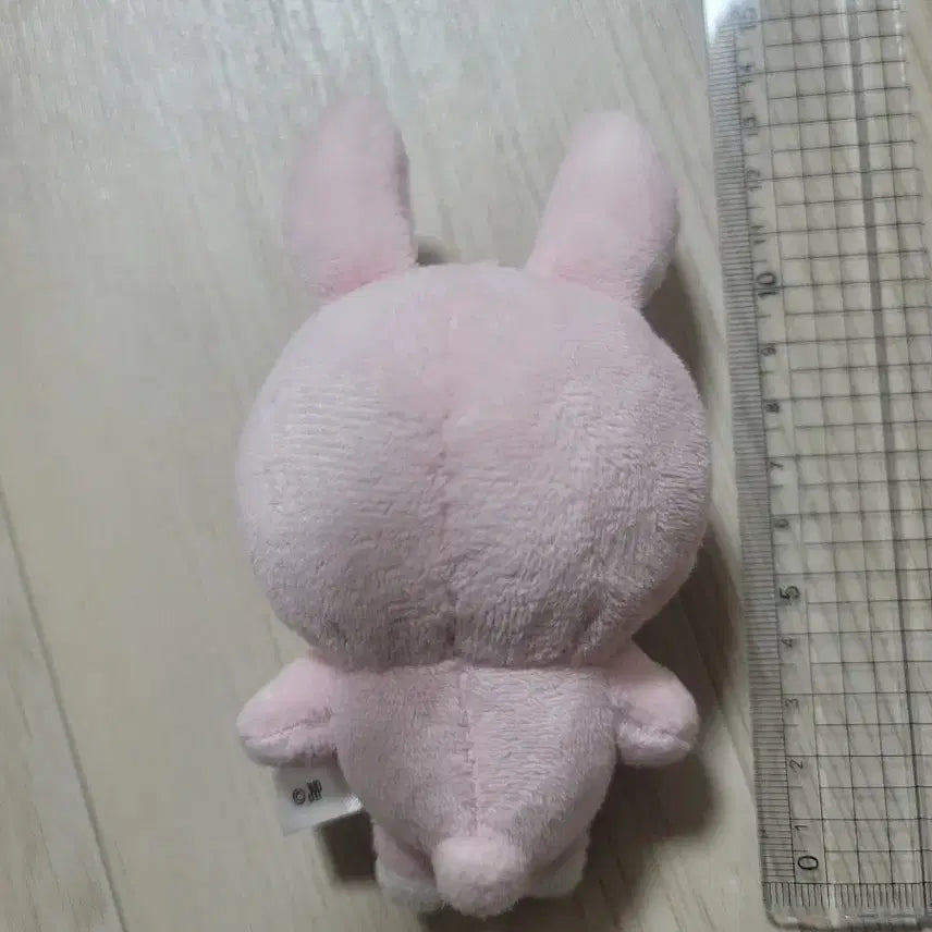 데이식스 백찬 필끼