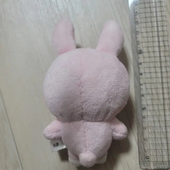 데이식스 백찬 필끼