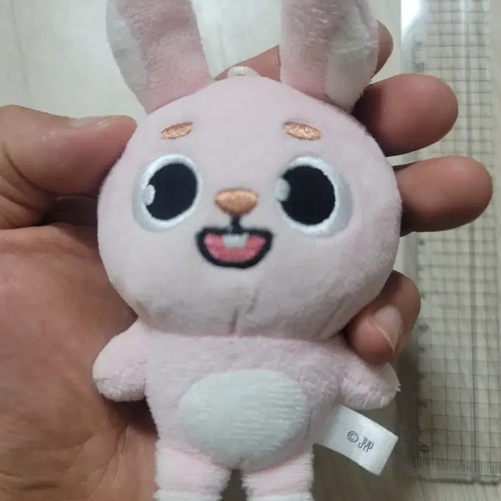 데이식스 백찬 필끼