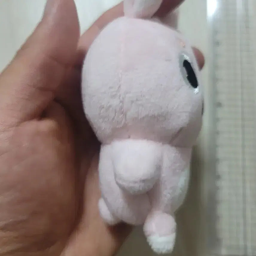 데이식스 백찬 필끼