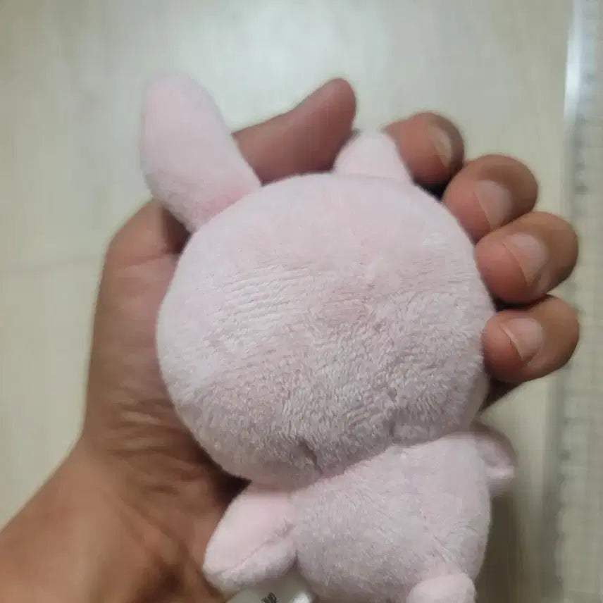 데이식스 백찬 필끼