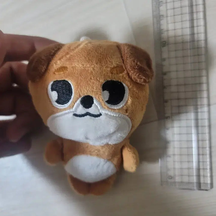 데이식스 돈이 비공식 인형