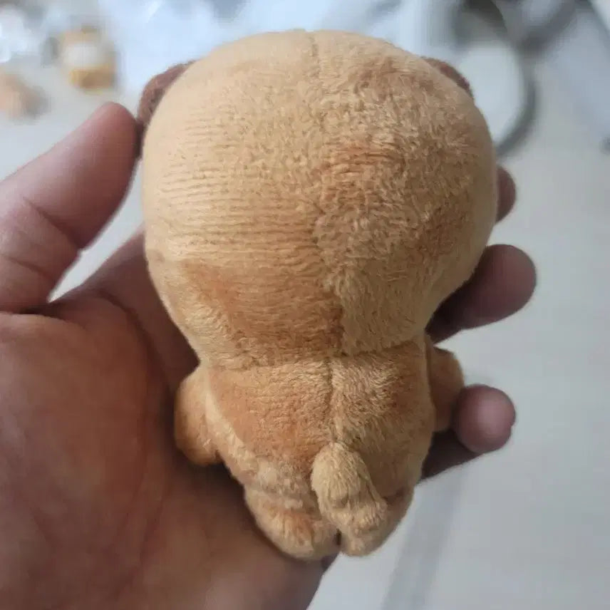 데이식스 돈이 비공식 인형