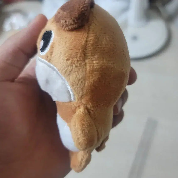 데이식스 돈이 비공식 인형