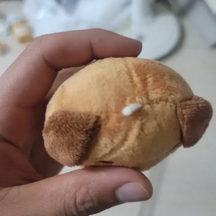 데이식스 돈이 비공식 인형