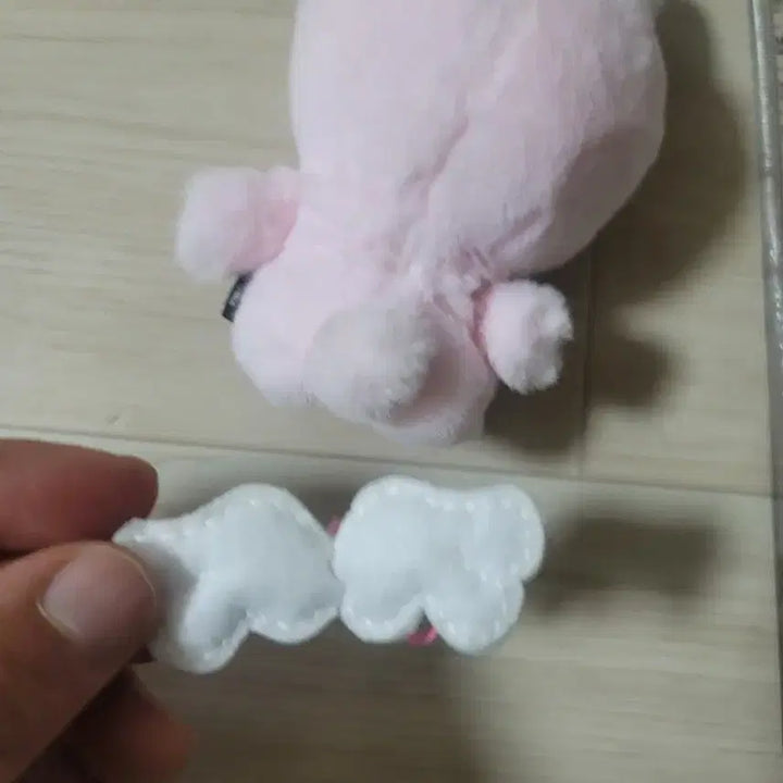 데이식스 플러시 핑거 필
